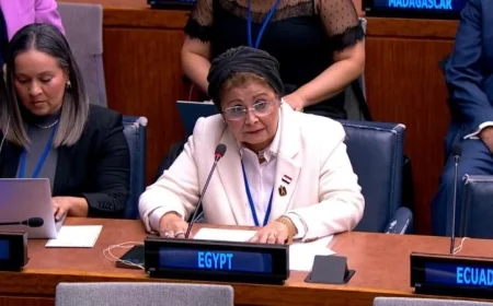 نائب وزير الصحة يقدم بيان مصر في لجنة السكان والتنمية بالأمم المتحدة