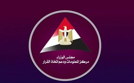 مركز المعلومات يكشف عن تقرير “فيتش” حول آفاق الاستثمار الأجنبي المباشر في مصر
