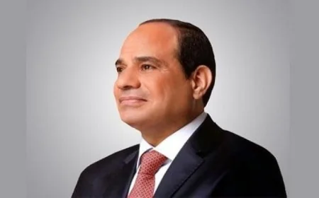 قرار جمهوري بتجديد تعيين حاتم نبيل رئيسا مؤقتا للمركز التنظيمي والإداري