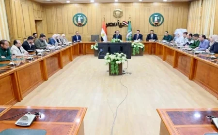 محافظ المنوفية يسلط الضوء على مشروعات الخطة الاستثمارية ويشدد على ضرورة تسريع التنفيذ