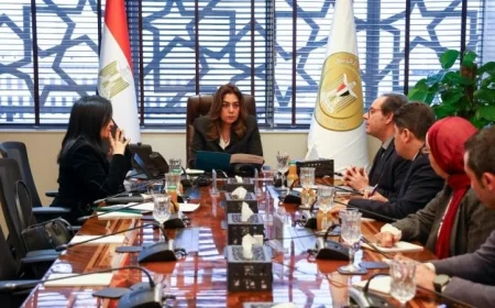 وزيرة التنمية المحلية تبحث مع اتحاد بنوك مصر آفاق التعاون لتعزيز الاستدامة