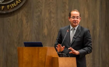 المالية تؤكد أن زيادة الإيرادات والتمويلات المختلطة تساهم في تقليل مخاطر الاستثمار في إفريقيا