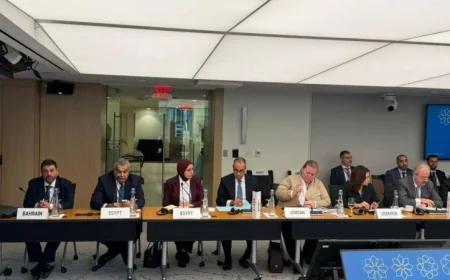 وزير الخارجية يبرز صلابة الاقتصاد المصري نتيجة الإصلاحات الهيكلية المستمرة