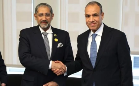 وزير الخارجية يجتمع مع رئيس المصرف العربي للتنمية الاقتصادية في أفريقيا لتعزيز التعاون الاقتصادي