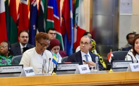 عبد العاطي يتعاون مع رئيس البنك الدولي في اجتماع المجموعة الاستشارية الإفريقية