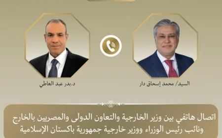 عبد العاطي يناقش الوضع الإقليمي مع نظيره الباكستاني في اتصال هاتفي هام