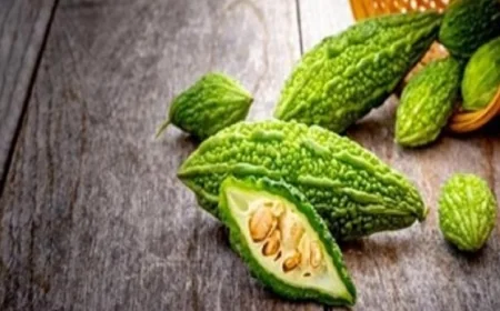 دراسة تكشف فوائد القرع المر في الوقاية من السكري والأورام