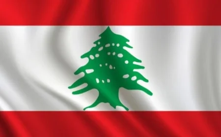 المجلس الأممي لحقوق الإنسان يندد بالاعتداءات الإسرائيلية على لبنان