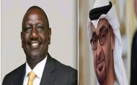 رئيسا الإمارات وكينيا يتبادلان الآراء لتطوير التعاون في جميع المجالات