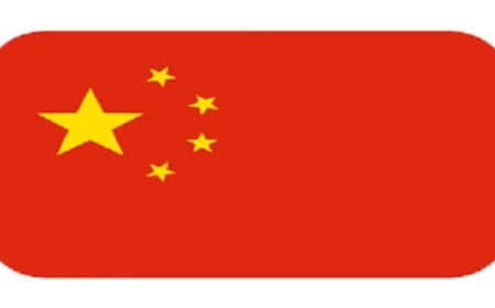 كبير الدبلوماسيين الصينيين يؤكد استمرار دعم الصين ومساهمتها في تحقيق التنمية العالمية