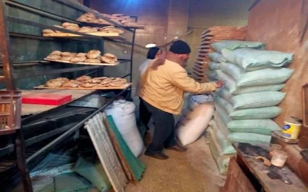 إدارة التموين بالباجور والشهداء تتخذ إجراءات صارمة بتحرير 13 محضر مخالفة لمخابز غاشّة