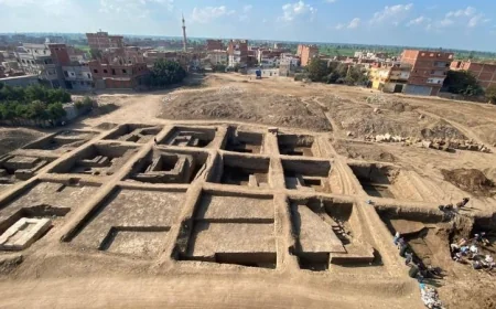 اكتشاف تمثال ضخم في تل فرعون بالشرقية يكشف أسرار الحضارة القديمة