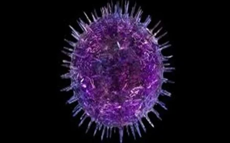 تطوير أجسام مضادة فعالة لوقف فيروس السرطان الذي يصيب 95% من البشر
