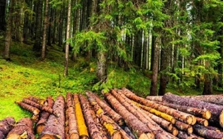 الأرض تتخلف عن تلبية احتياجات البشر من الموارد الطبيعية