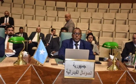 دول الجامعة العربية تندد بتعيين إسرائيل مبعوثًا إلى إقليم أرض الصومال