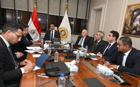 وزير الصناعة يناقش مشروع تحويل الأمونيا الخضراء باستثمار 5 مليارات دولار