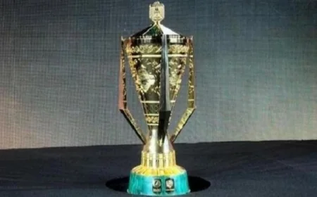 موعد مباراة نهائي كأس رئيس الإمارات بين ناديي العين والجزيرة