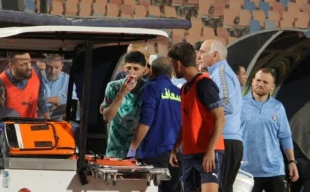 بيراميدز يعلن عن نجاح عملية جراحة قطة وتأكيد غيابه عن المباراة المرتقبة ضد الأهلى