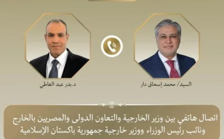 وزير الخارجية يتباحث مع نظيره الباكستاني حول تطورات المفاوضات الأمريكية الإيرانية