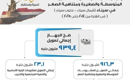 زيادة التمويلات الممنوحة لمحافظتي شمال وجنوب سيناء من جهاز تنمية المشروعات