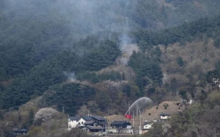 إجلاء حوالي 3000 شخص مع استمرار حرائق الغابات في اليابان لليوم الرابع على التوالي
