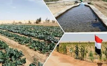 شيخ مشايخ سيناء يؤكد أن خطة تنمية سيناء تعكس إرادة سياسية قوية لتعزيز التنمية المستدامة