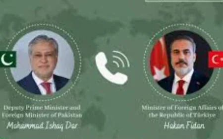 وزير خارجية باكستان ونظيره التركي يتباحثان سبل تعزيز التعاون في القضايا الإقليمية