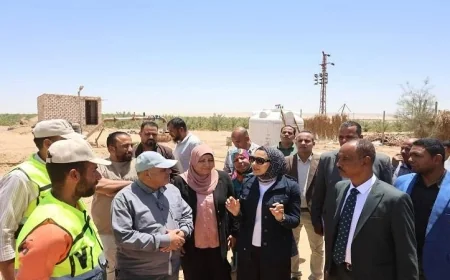 محافظ الوادي الجديد يزور المشروع الزراعي في قرى جورمشين بباريس لتعزيز التنمية الزراعية