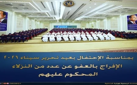 فيديو الإفراج عن 602 نزيل بمناسبة عيد تحرير سيناء بقرار عفو رسمي