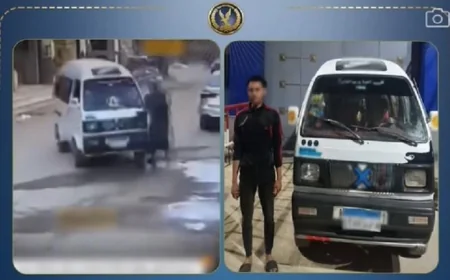 ضبط سائق فان بعد اصطدامه بمار على الطريق في سوهاج