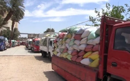 محافظ سوهاج يعلن عن توريد أكثر من 20 ألف طن من القمح وضمان صرف مستحقات المزارعين