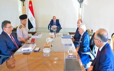 الرئيس السيسى يؤكد على أهمية إنجاز مشروعات مدينة الجلالة بمعايير عالمية فائقة