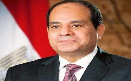 الرئيس السيسي يؤكد ضرورة تعزيز التعاون مع الدول الصديقة لحل أزمات المنطقة