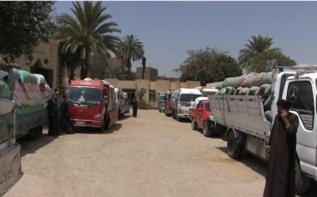 توريد 29.5 ألف طن قمح للصوامع والشون في سوهاج حتى الآن وفقاً للمحافظ