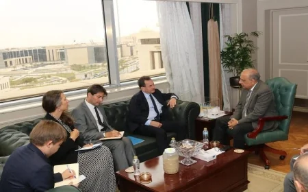 وزير الكهرباء يلتقي بسفير فرنسا لتعزيز التعاون والشراكة في قطاع الطاقة الكهربائية