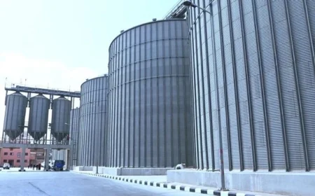 محافظ البحيرة يعلن عن استلام أكثر من 9600 طن من القمح المحلي وتجهيز 39 موقعًا لاستقبال المحصول