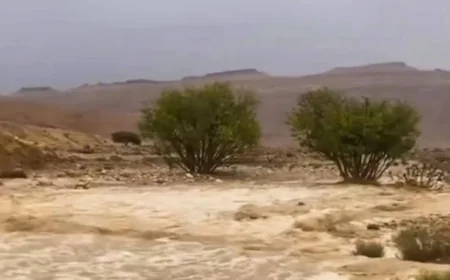 وزير الري يرصد تطورات السيول في محافظة شمال سيناء اليوم