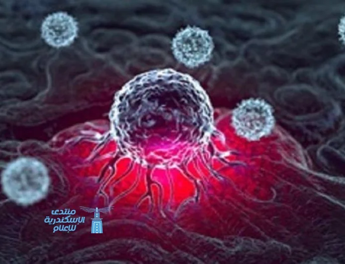 زيادة الالتهابات ترفع مخاطر الوفاة لدى النساء بشكل ملحوظ