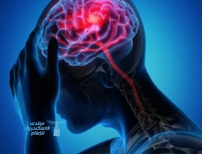 تأثير التوتر المالي على الدماغ وكيف يؤثر على صحتك العقلية