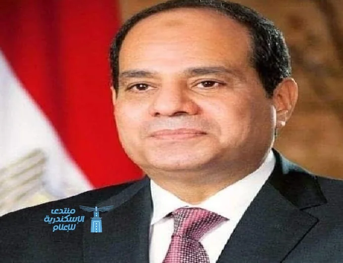 الرئيس السيسي يؤكد ضرورة تعزيز التعاون مع الدول الصديقة لحل أزمات المنطقة