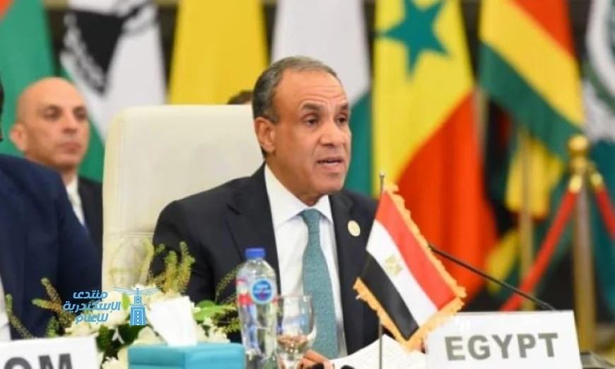 وزير الخارجية يؤكد استمرار الجهود المصرية الحثيثة لخفض التصعيد بكافة السبل