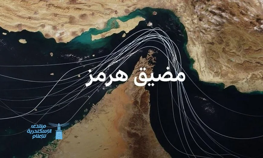 سفينة مالطية تديرها شركة فرنسية تعبر مضيق هرمز في ظل تراجع حاد للملاحة البحرية