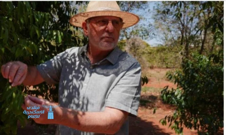 باحثون من البرازيل يبتكرون أصناف قهوة جديدة لمواجهة آثار التغير المناخي