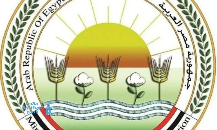 الزراعة تواصل التزامها بالعمل عن بعد مع استمرار نشاط القطاعات الحيوية