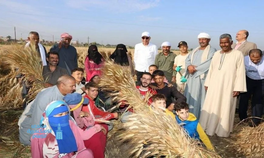 محافظ المنيا يعلن تجهيز 42 موقعًا لاستقبال القمح بسعة 465 ألف طن لتعزيز الاقتصاد المحلي