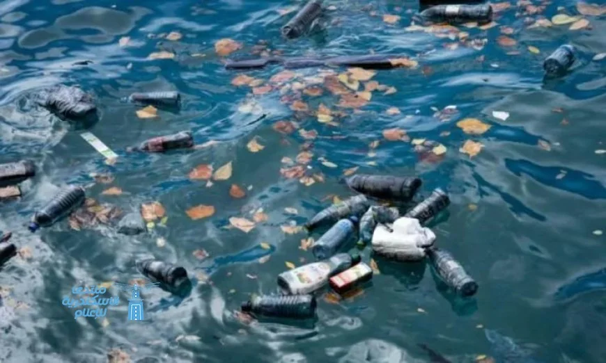 رئيس الرأس الأخضر يطلق دعوة قوية لـ 20 دولة أفريقية لتعزيز التعاون لحماية البيئة البحرية