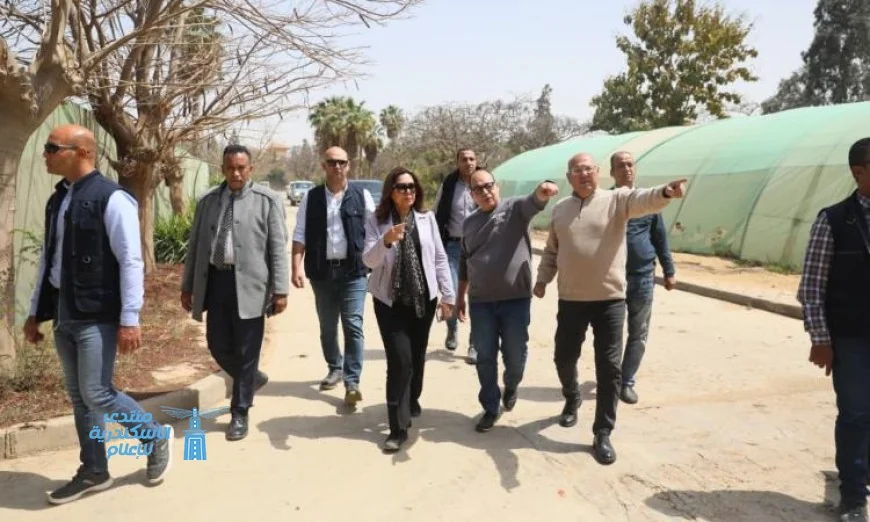 د. منال عوض تعلن عن خطة لتطوير المشتل المركزي في القاهرة الجديدة لزيادة الإنتاج وتعزيز جهود التشجير