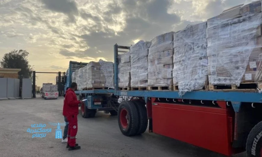 الهلال الأحمر يوزع 44 ألف سلة غذائية في غزة ضمن القافلة 172 من زاد العزة