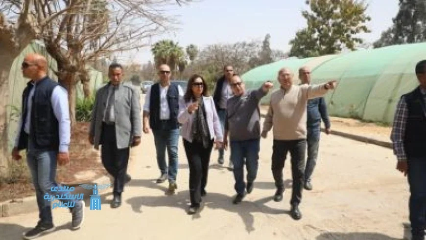 مرضى السكري معرضون للإصابة بالخرف بمعدل مرتين أكثر