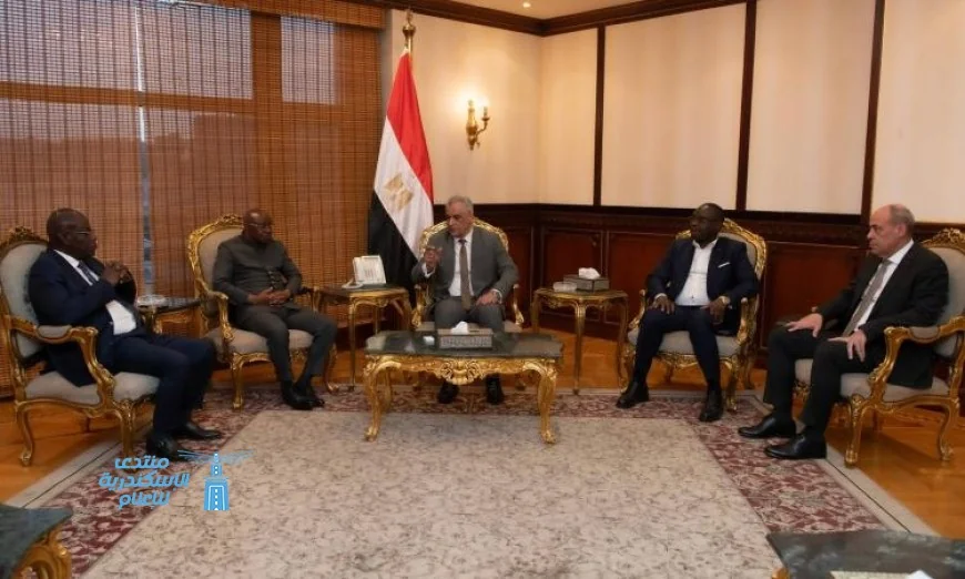 وزير الدولة للإنتاج الحربي يناقش مجالات التعاون مع وفد جمهورية إفريقيا الوسطى